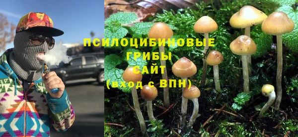 гидра Абдулино