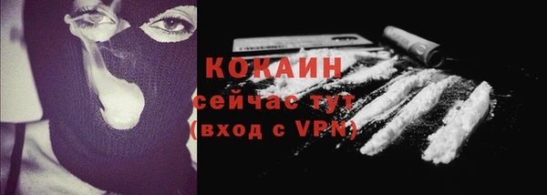 мяу мяу мука Иннополис