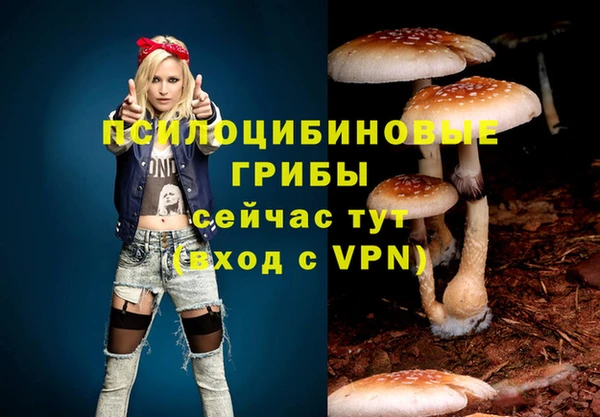 гидра Абдулино