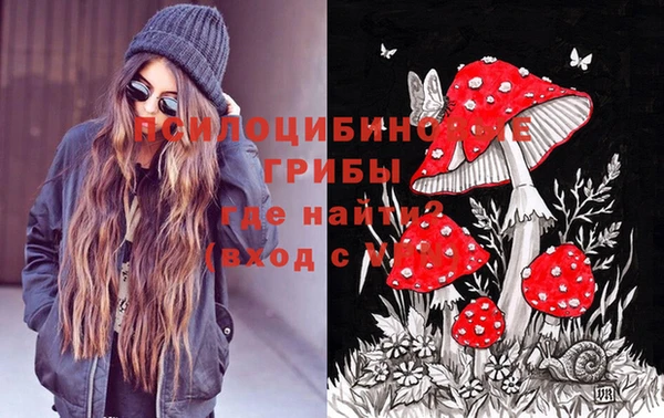 гидра Абдулино