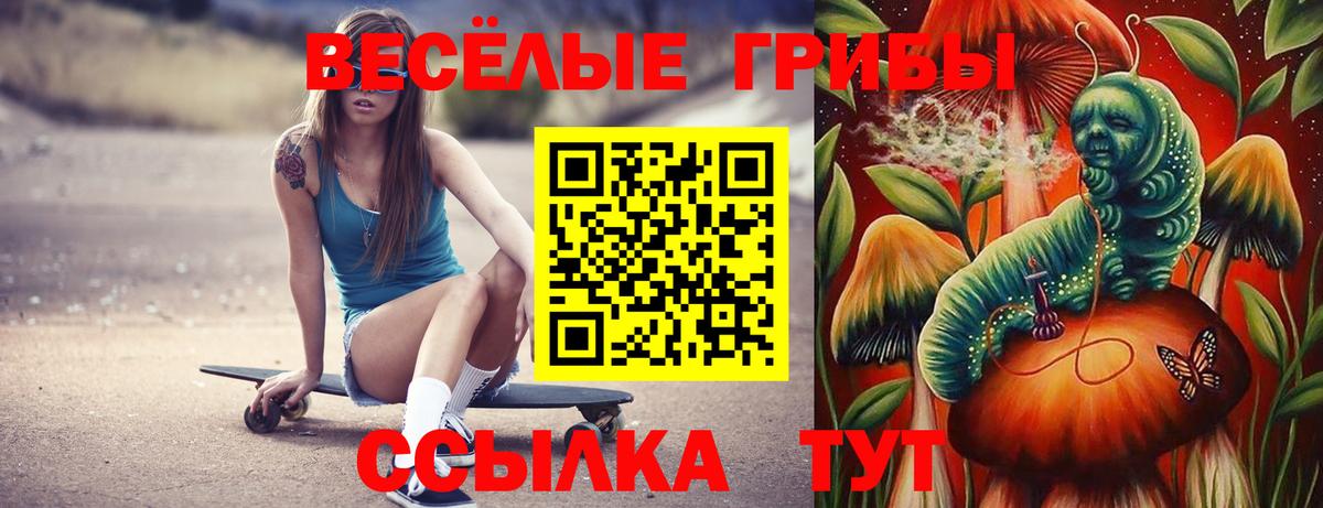 Галлюциногенные грибы GOLDEN TEACHER  Вход с VPN  Шумерля 