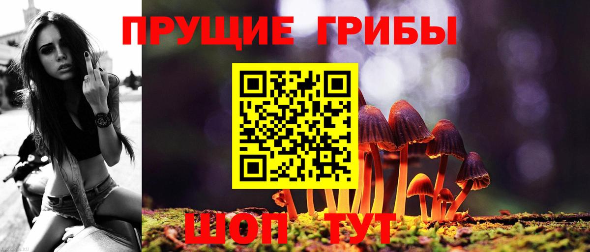 Галлюциногенные грибы GOLDEN TEACHER Шумерля